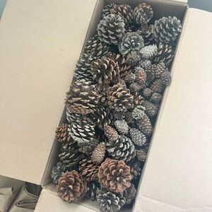 Montana “Grown” Pine Cones